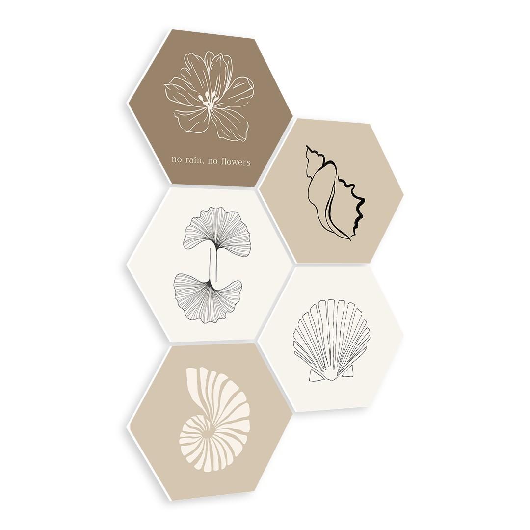 Beige Shell Mix