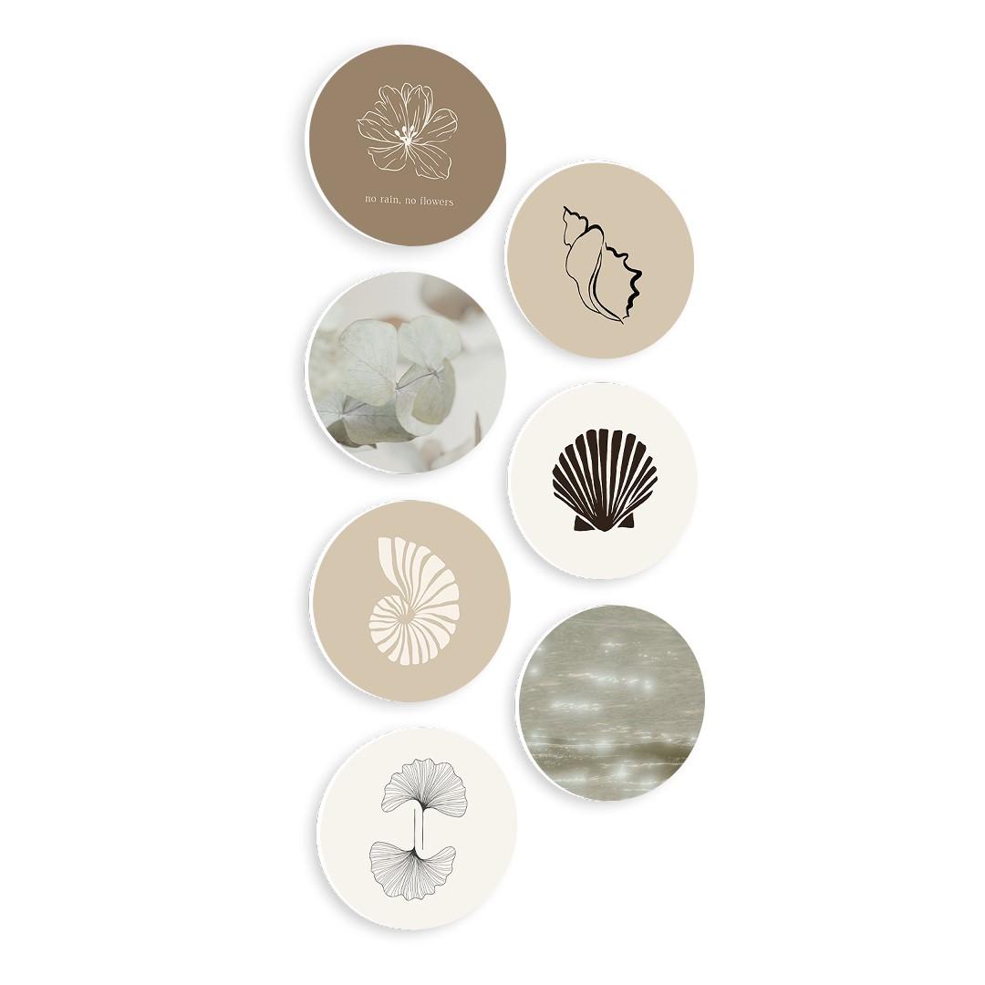 Shell Beige Ocean
