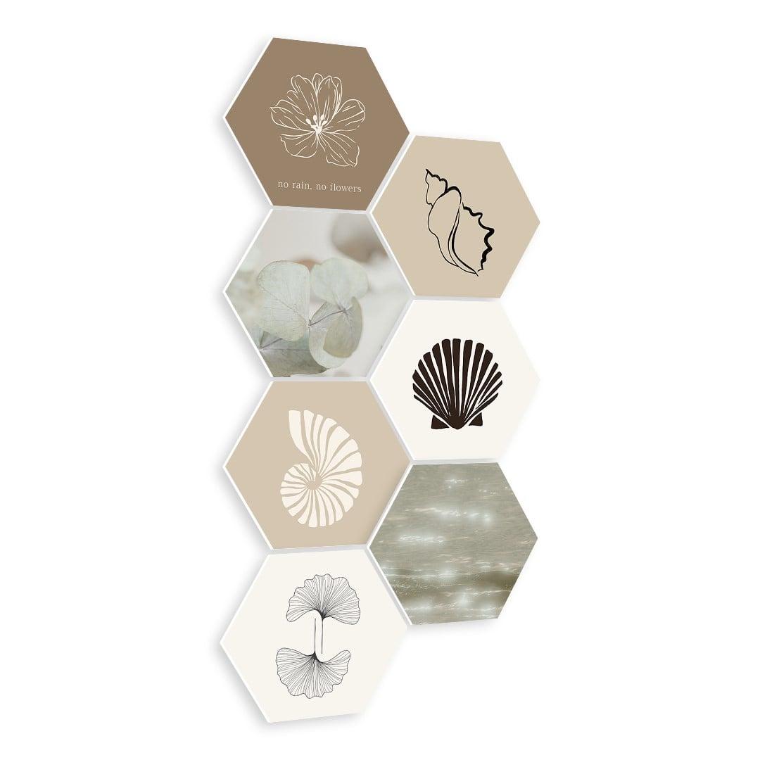 Ocean Shell Mix