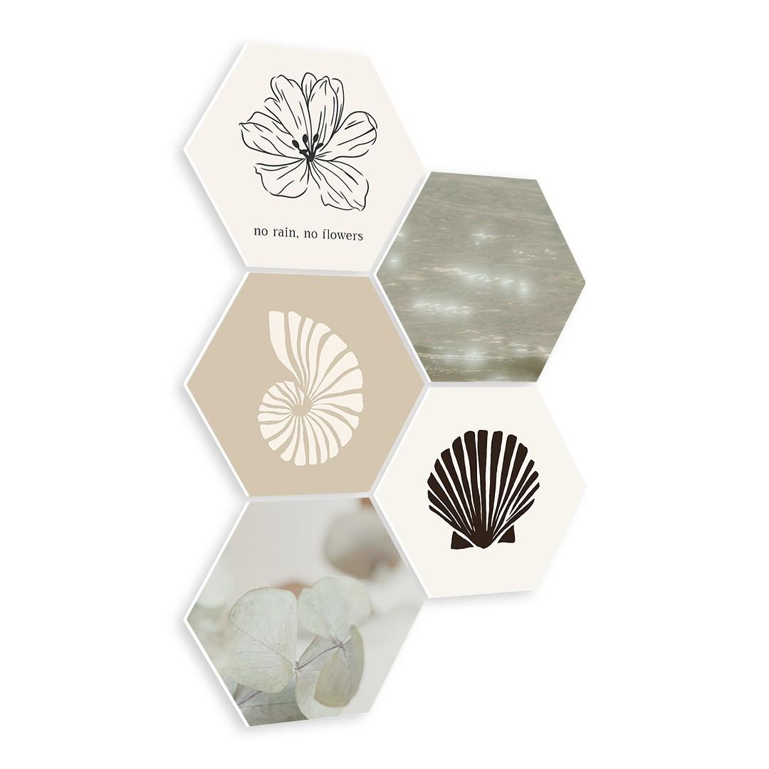 Shell Flower