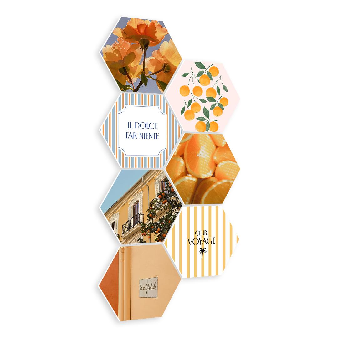 Orange Citrus Voyage