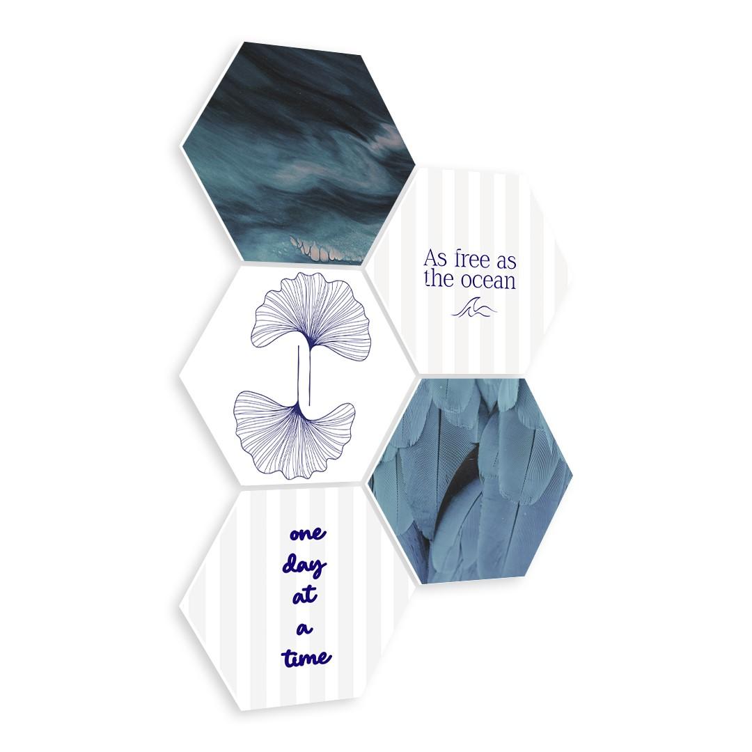 Ocean Shell