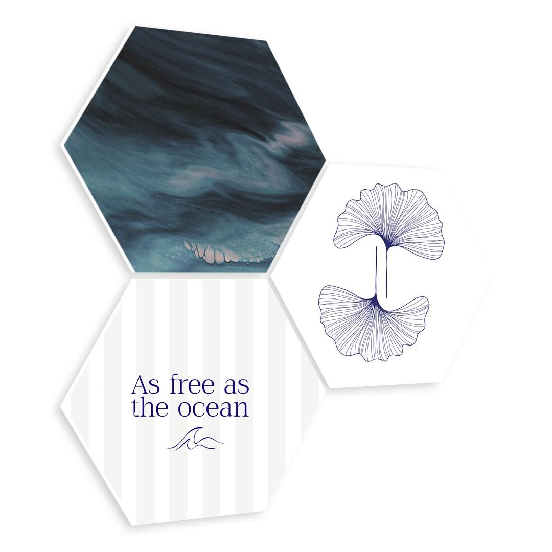 Ocean Free