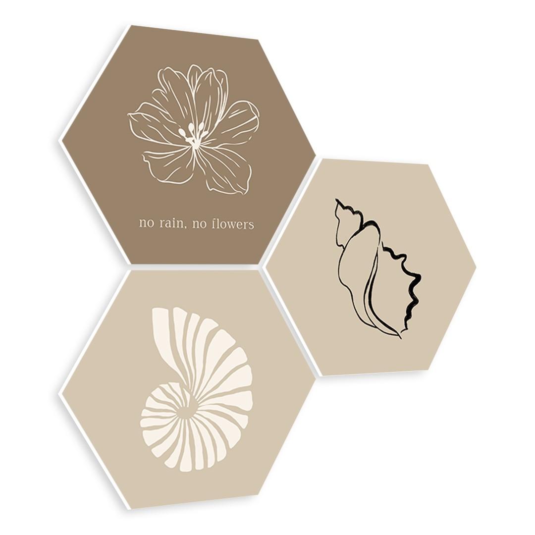 Beige Shell