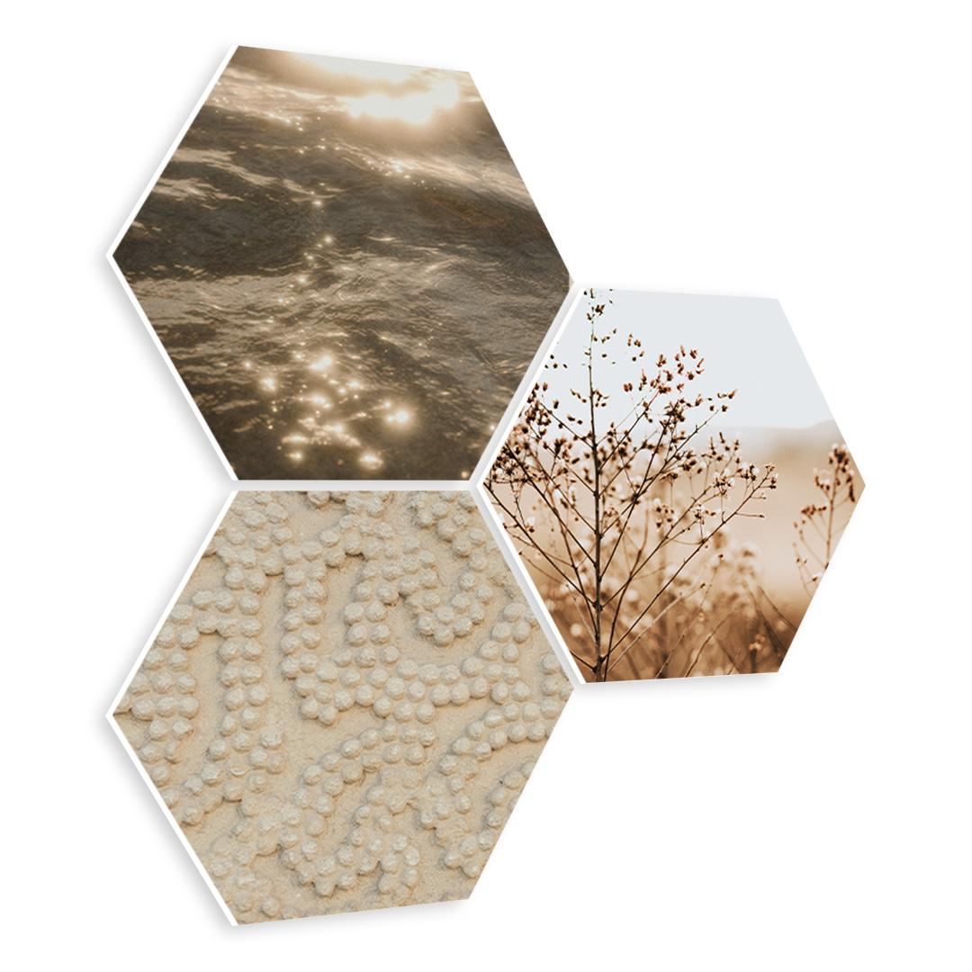 Pampas Texture Beige