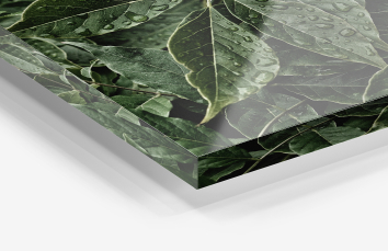 Plexgiglass