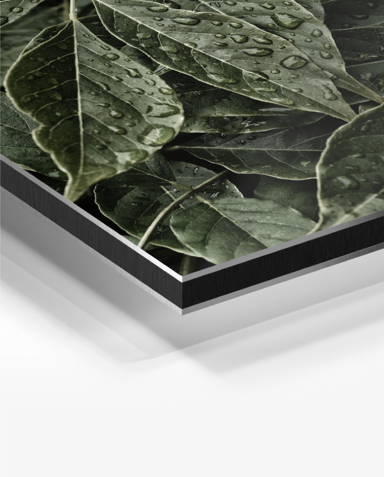 beautifully sharp prints aluminium