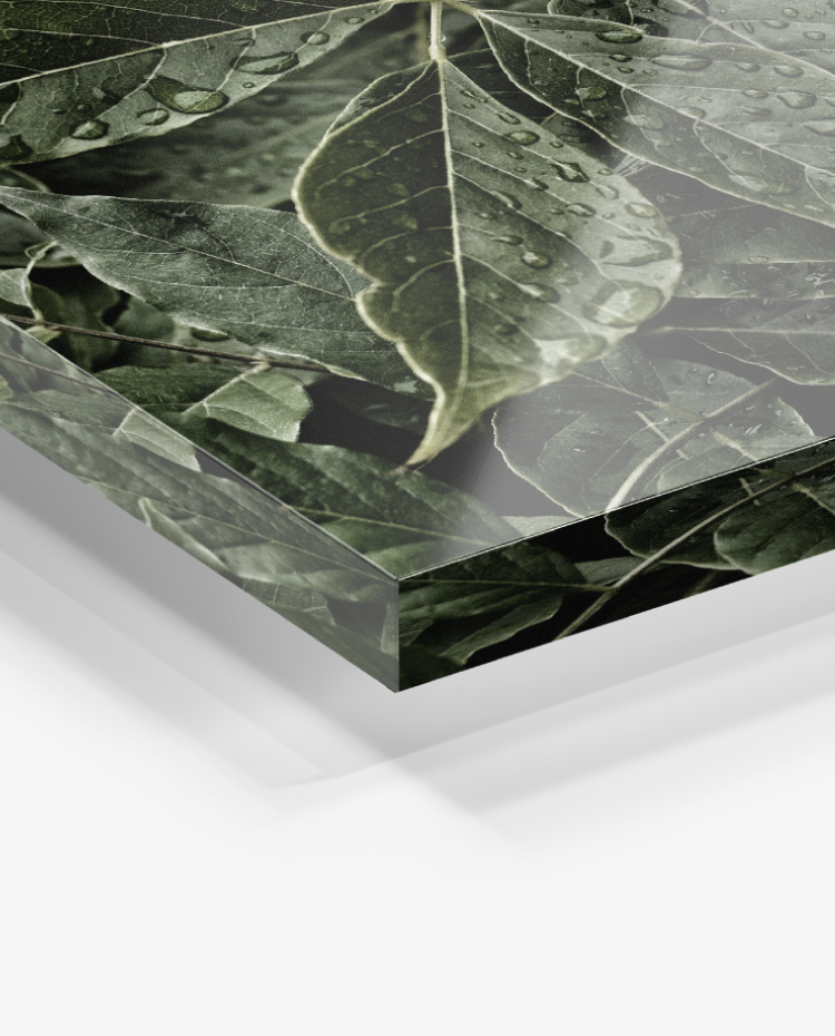 beautifully sharp prints plexiglass