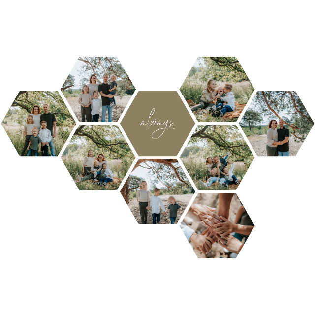 La conception de Anita