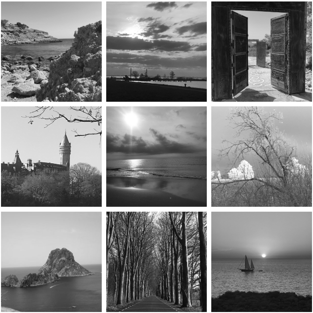 La conception de Bianca