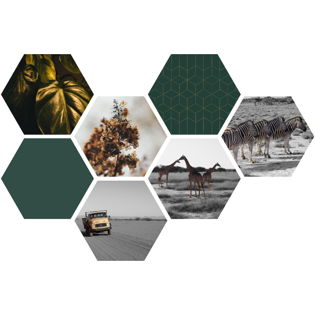 La conception de Camilla