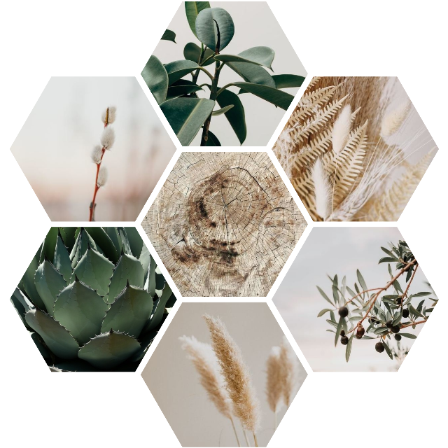 La conception de Charmaine