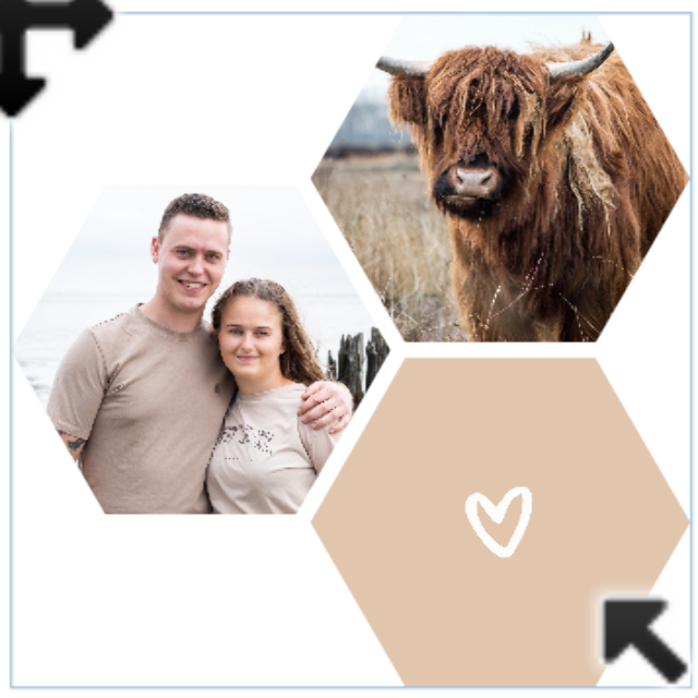 La conception de Corina