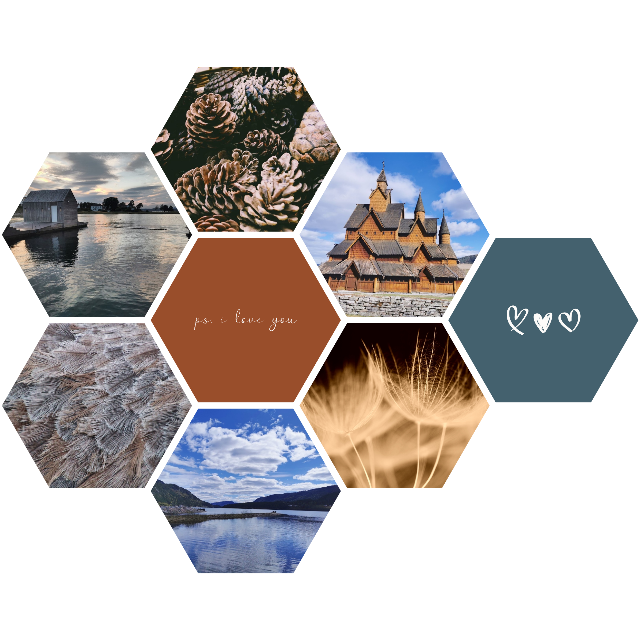 La conception de Diana