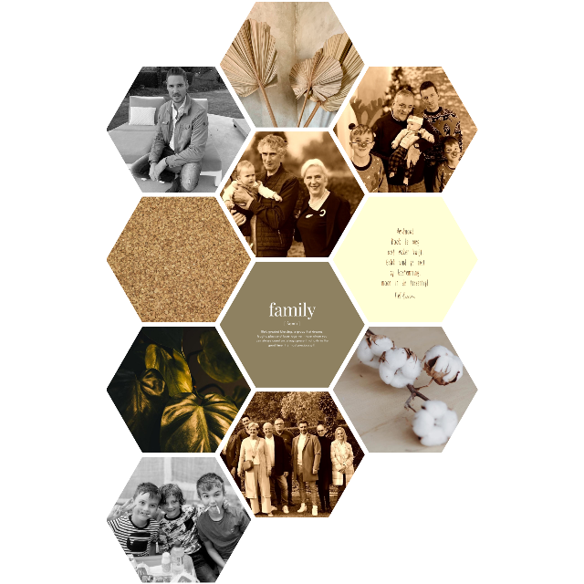 La conception de Evi