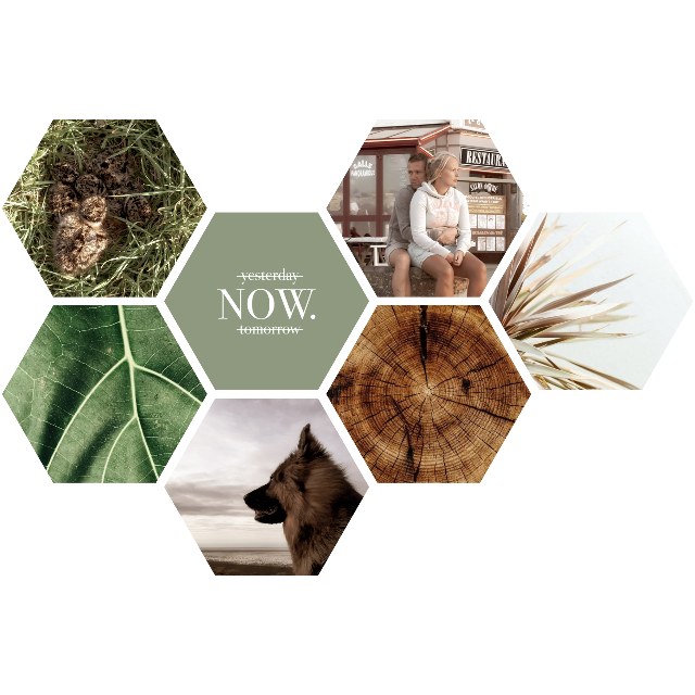 La conception de Janine