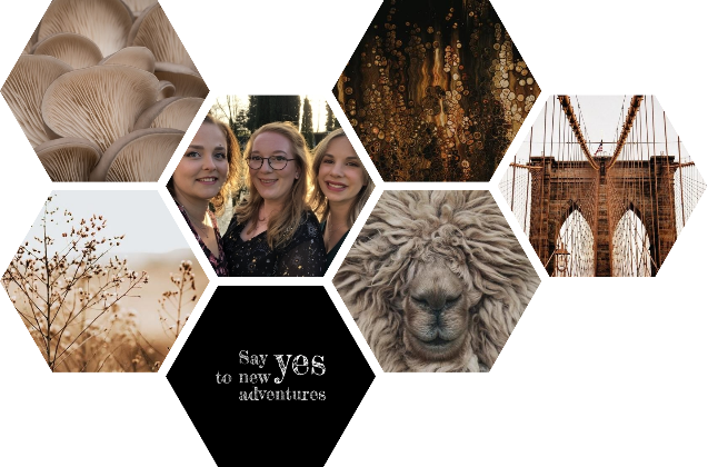 La conception de Joyce