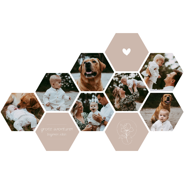 La conception de Laurine