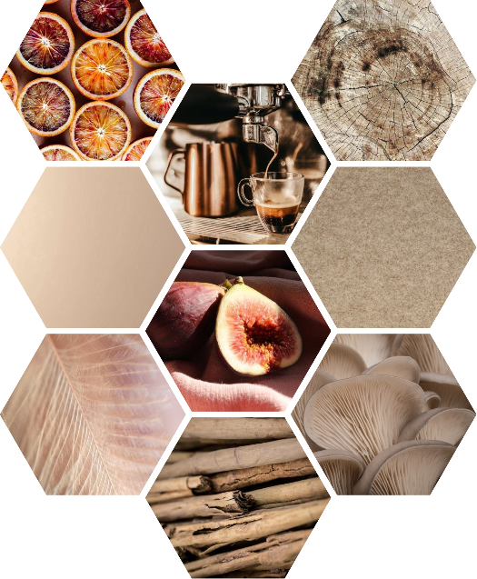 La conception de Marian