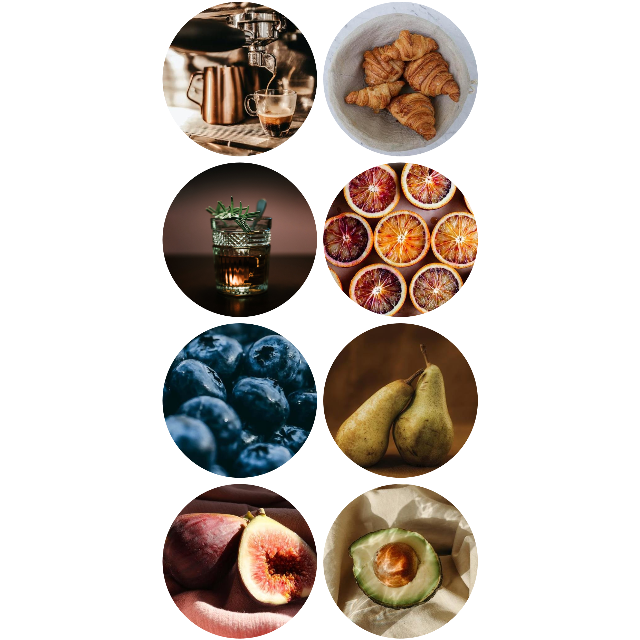 La conception de Nynke