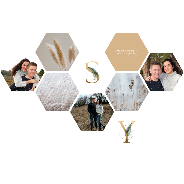 La conception de Sally