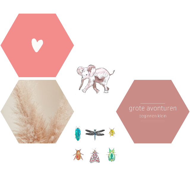 La conception de Vera