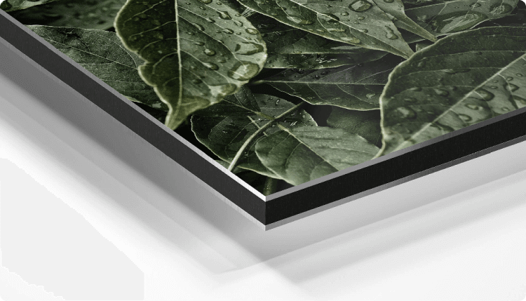 Aluminium detail