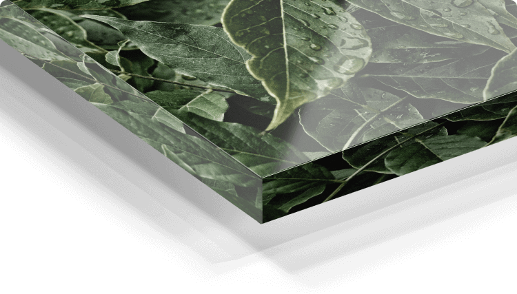 Plexiglas detail