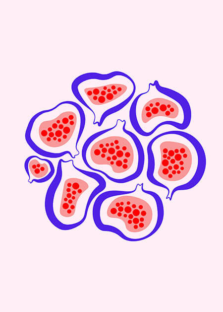 Figs