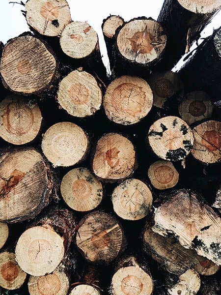 Logs