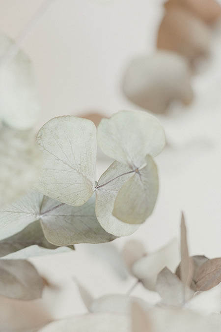 Blossom