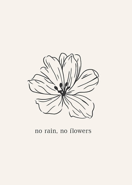Flower on White
