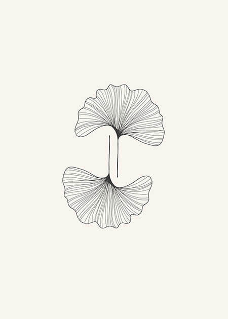 Leaves in Black