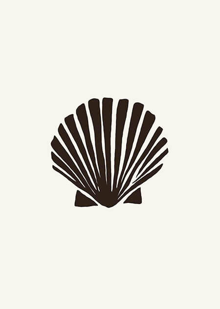Black Sea Shell