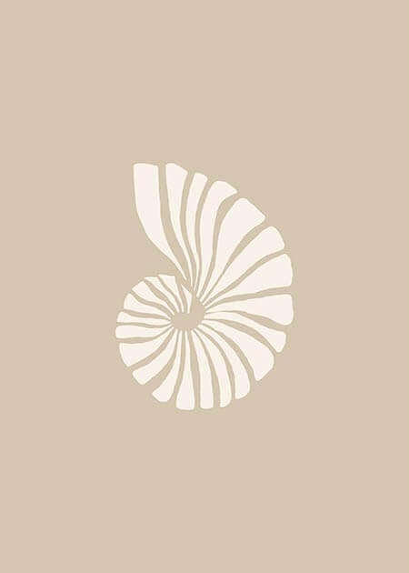 Sea Shell Swirl