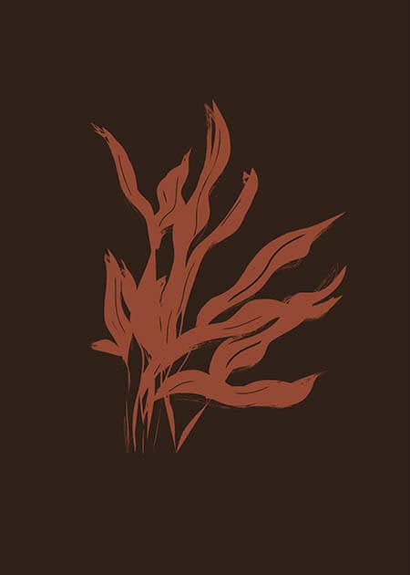 Seaweed Red
