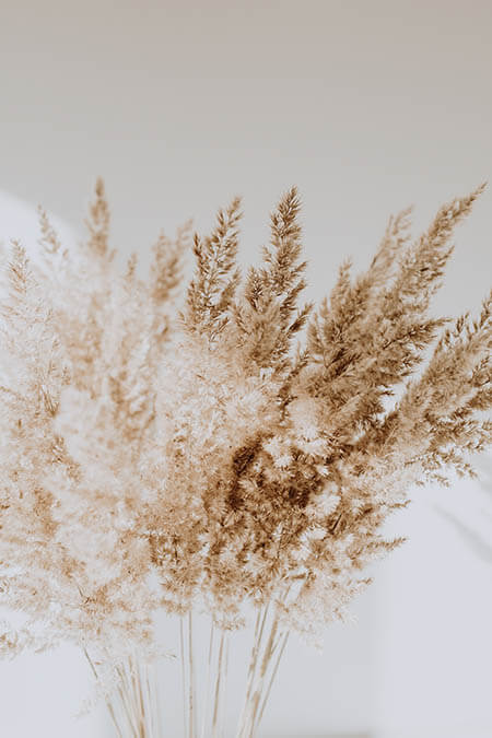 Dried Flowers