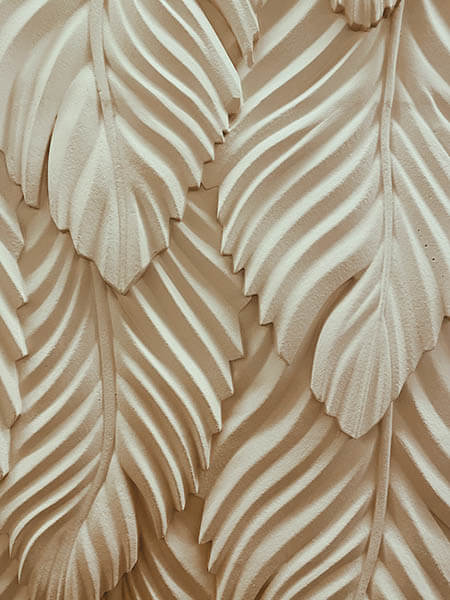 Leaves