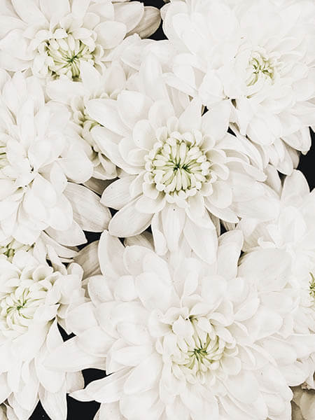 White Flowers