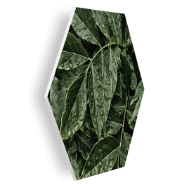 Forex hexagon photo tiles
