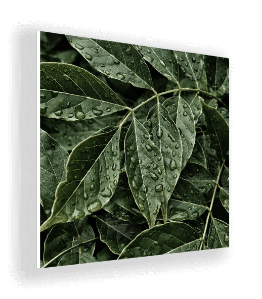 Forex square photo tiles